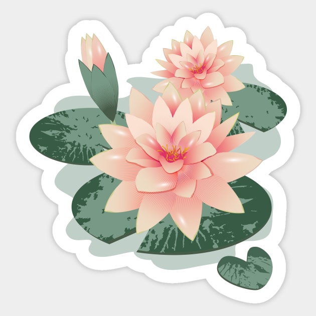 Water lily flowers with bud in water lily pond Sticker by Kisho